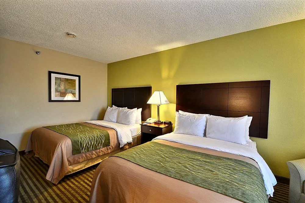 Comfort Inn & Suites St Pete - Clearwater International Airport United States