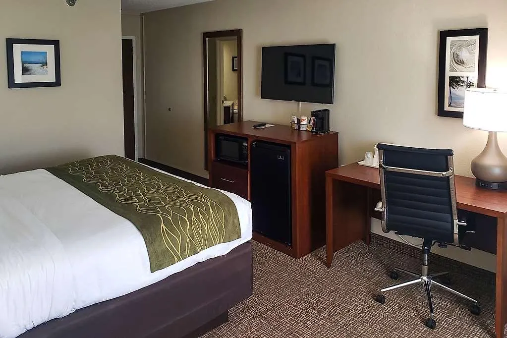 Hotel Comfort Inn & Suites St Pete - Clearwater International Airport