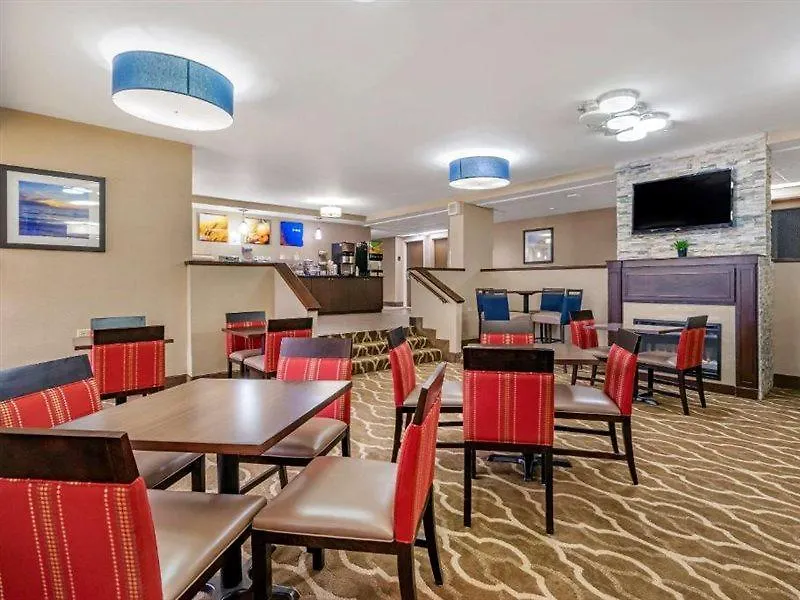 ** Hotel Comfort Inn & Suites St Pete - Clearwater International Airport United States