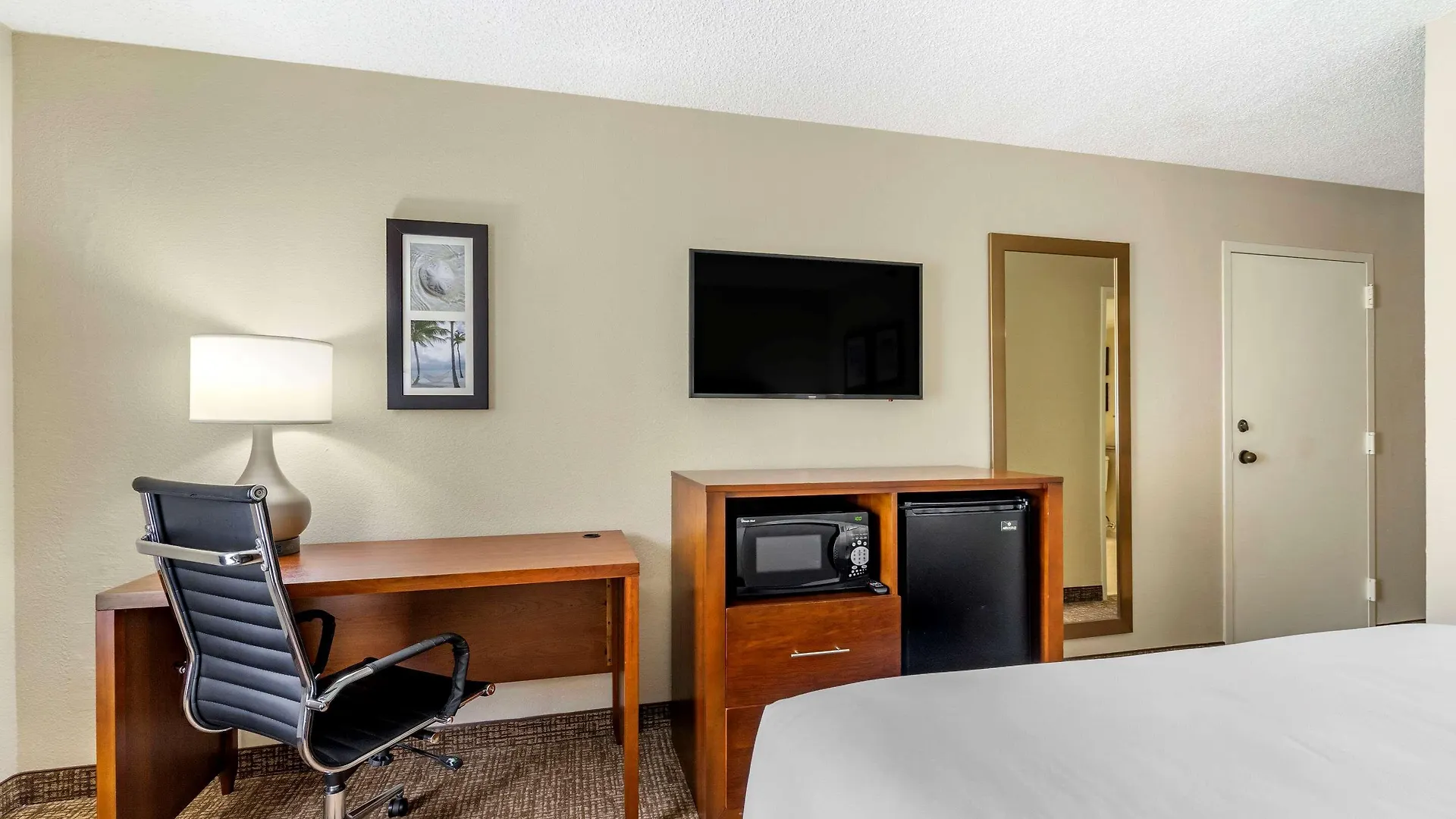 Comfort Inn & Suites St Pete - Clearwater International Airport