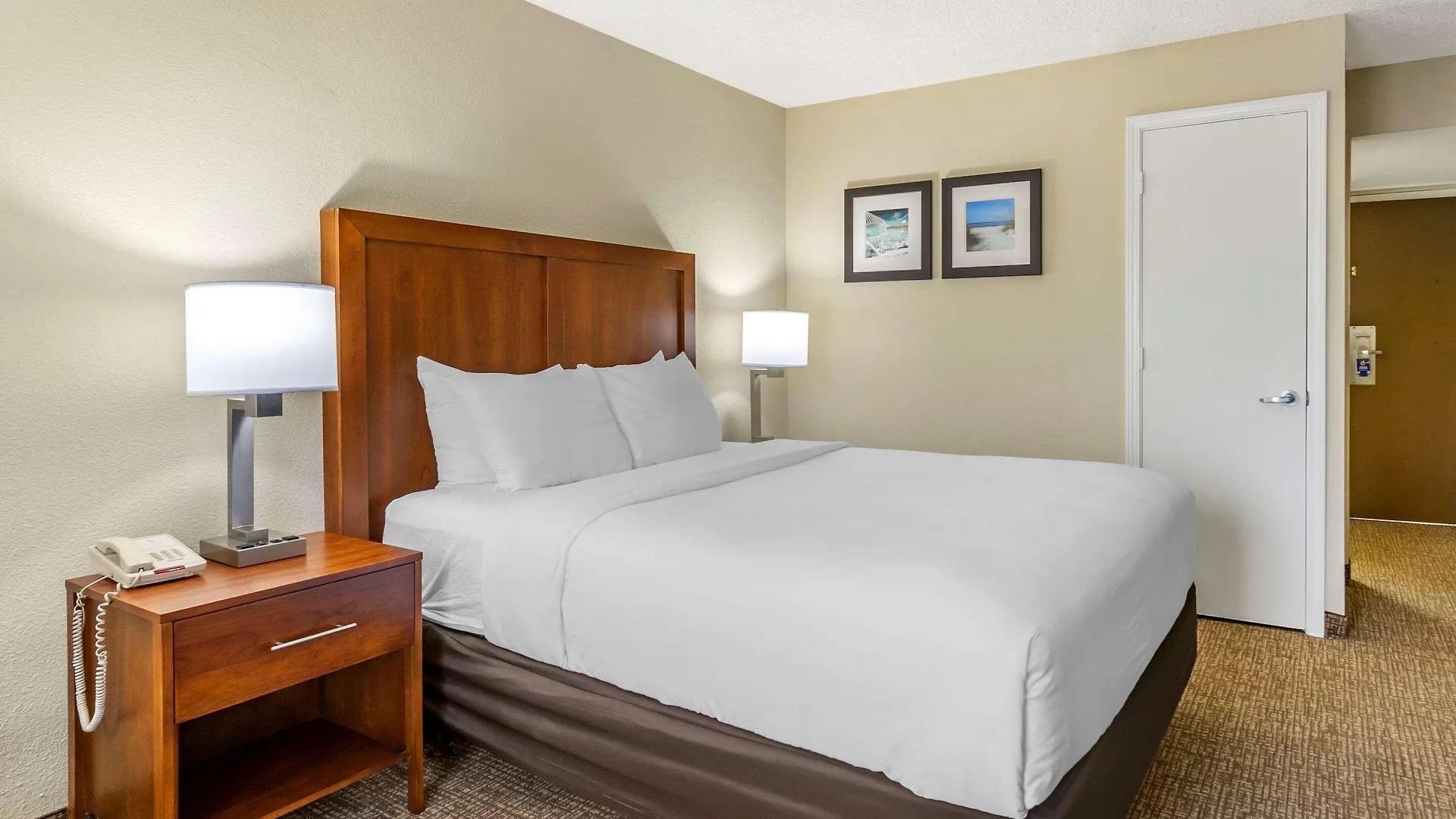 Comfort Inn & Suites St Pete - Clearwater International Airport Hotel