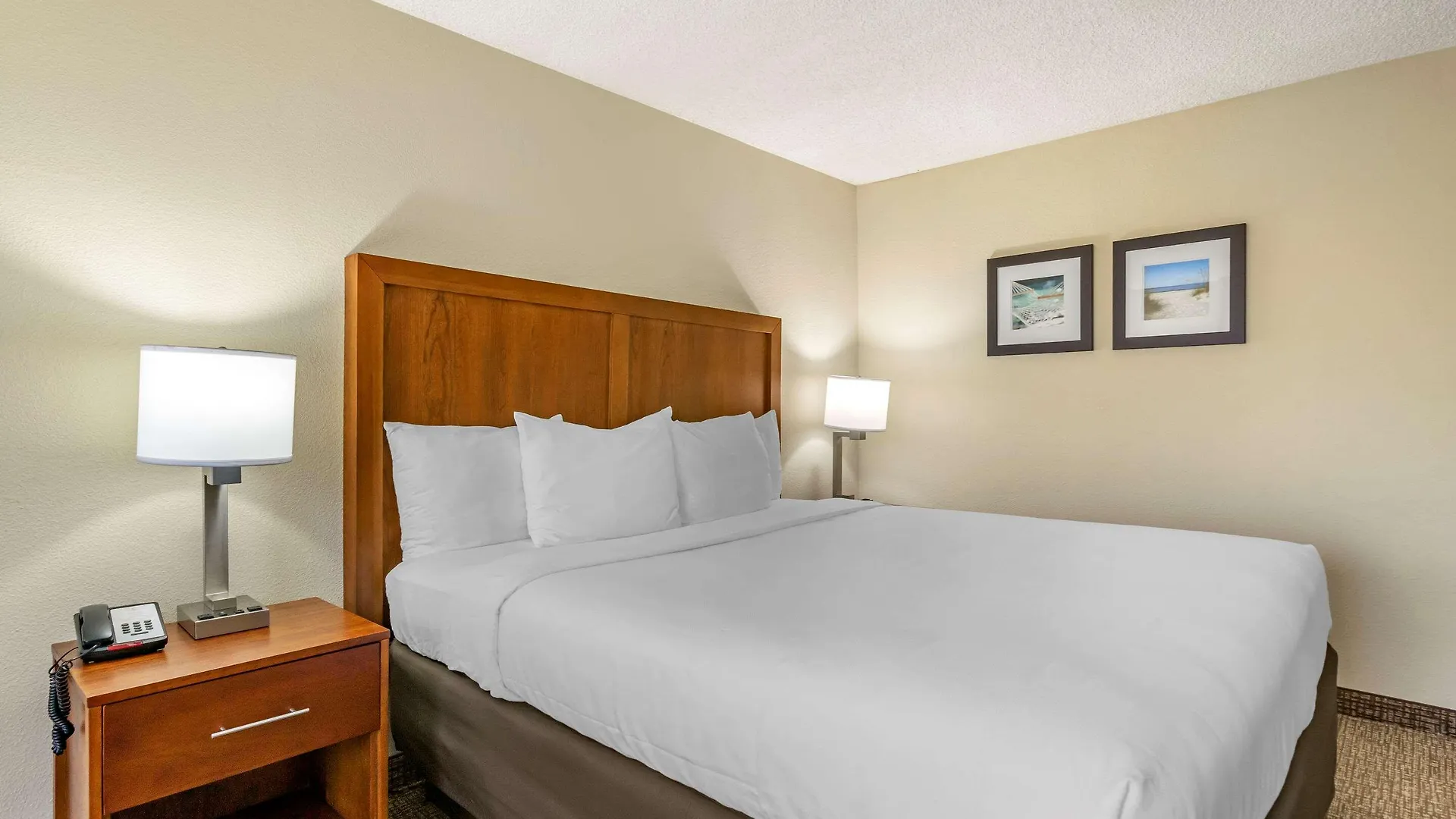 Comfort Inn & Suites St Pete - Clearwater International Airport Hotel
