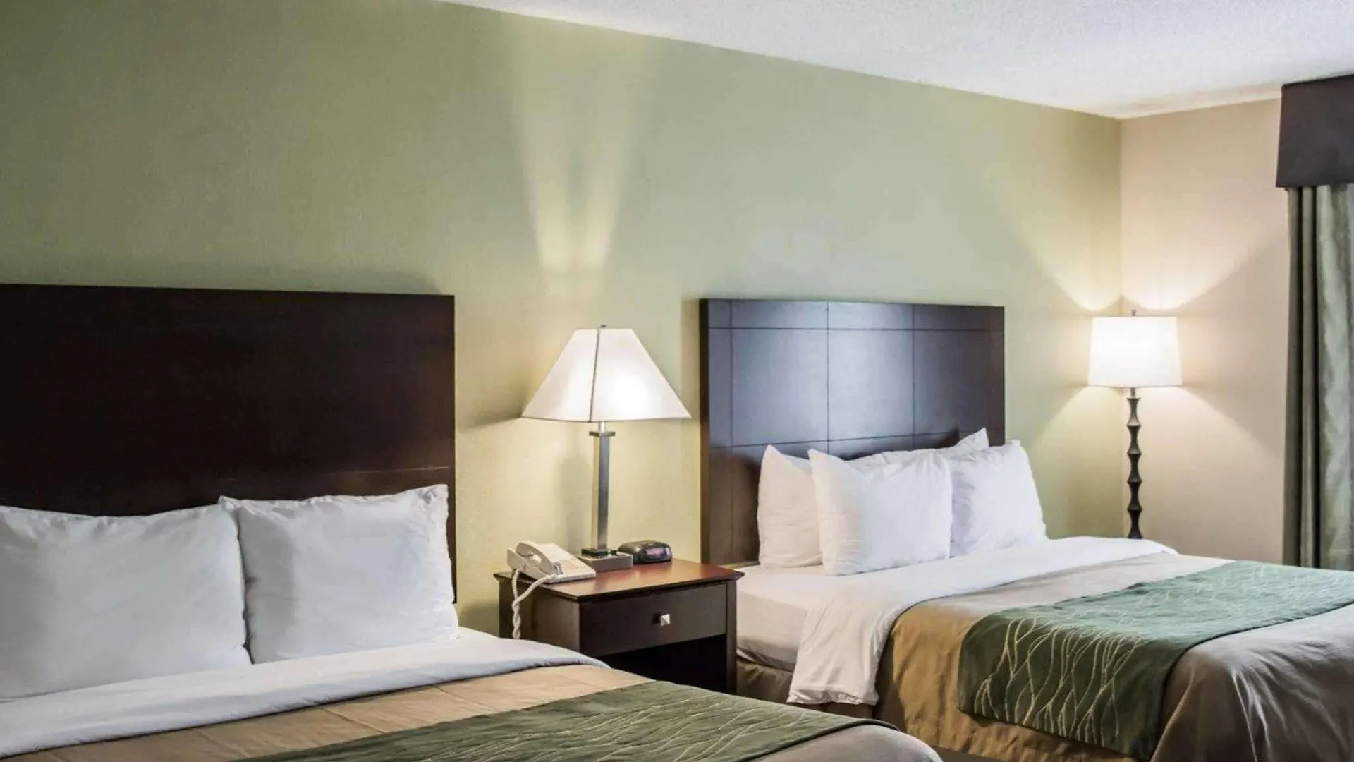 Hotel Comfort Inn & Suites St Pete - Clearwater International Airport