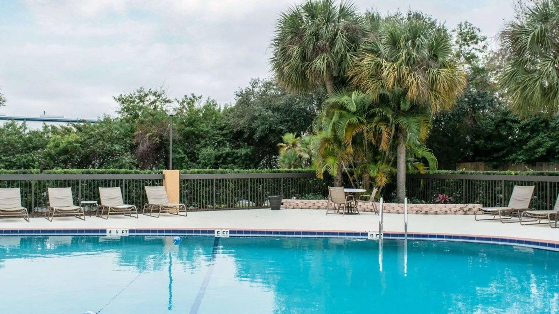 Hotel Comfort Inn & Suites St Pete - Clearwater International Airport