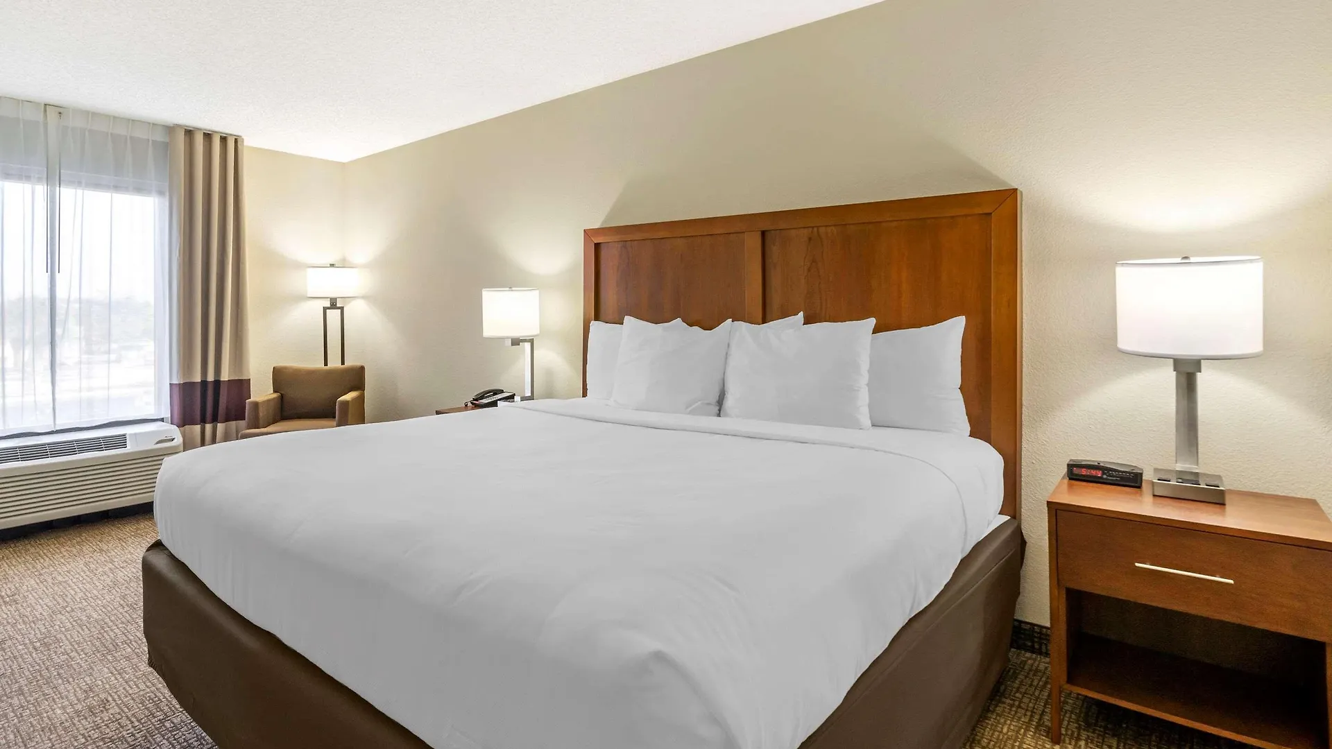 Comfort Inn & Suites St Pete - Clearwater International Airport Hotel
