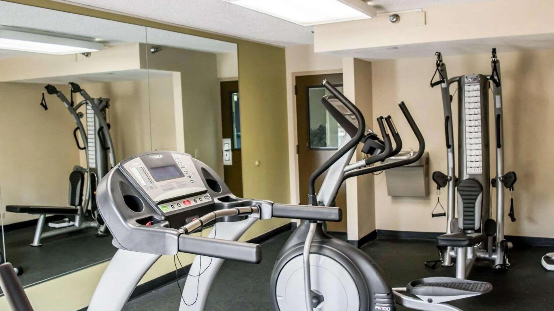 Comfort Inn & Suites St Pete - Clearwater International Airport Hotel