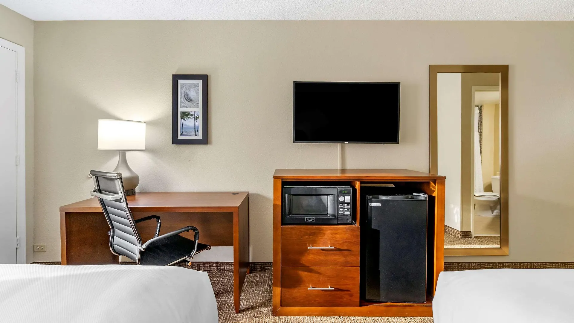 Comfort Inn & Suites St Pete - Clearwater International Airport United States