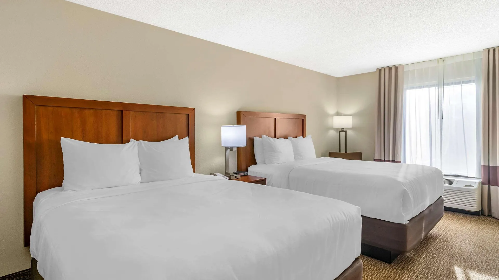 Hotel Comfort Inn & Suites St Pete - Clearwater International Airport