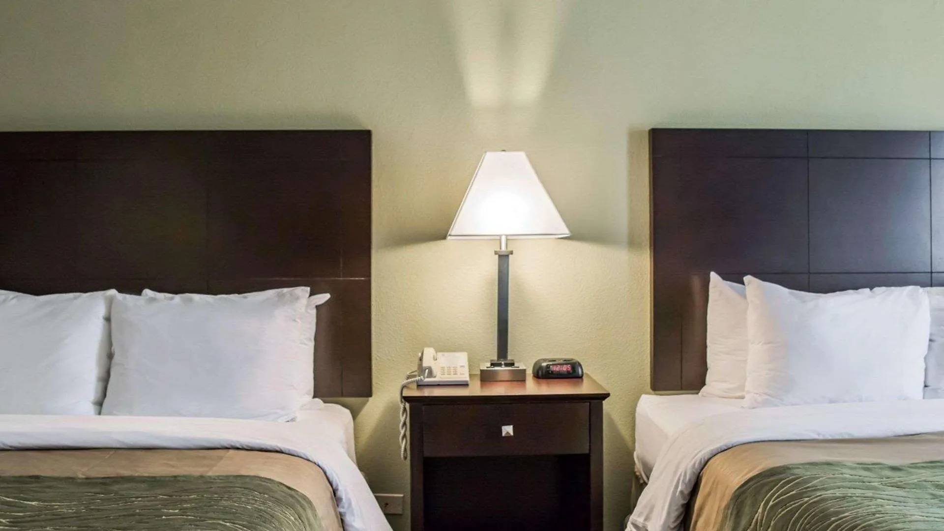Comfort Inn & Suites St Pete - Clearwater International Airport Hotel