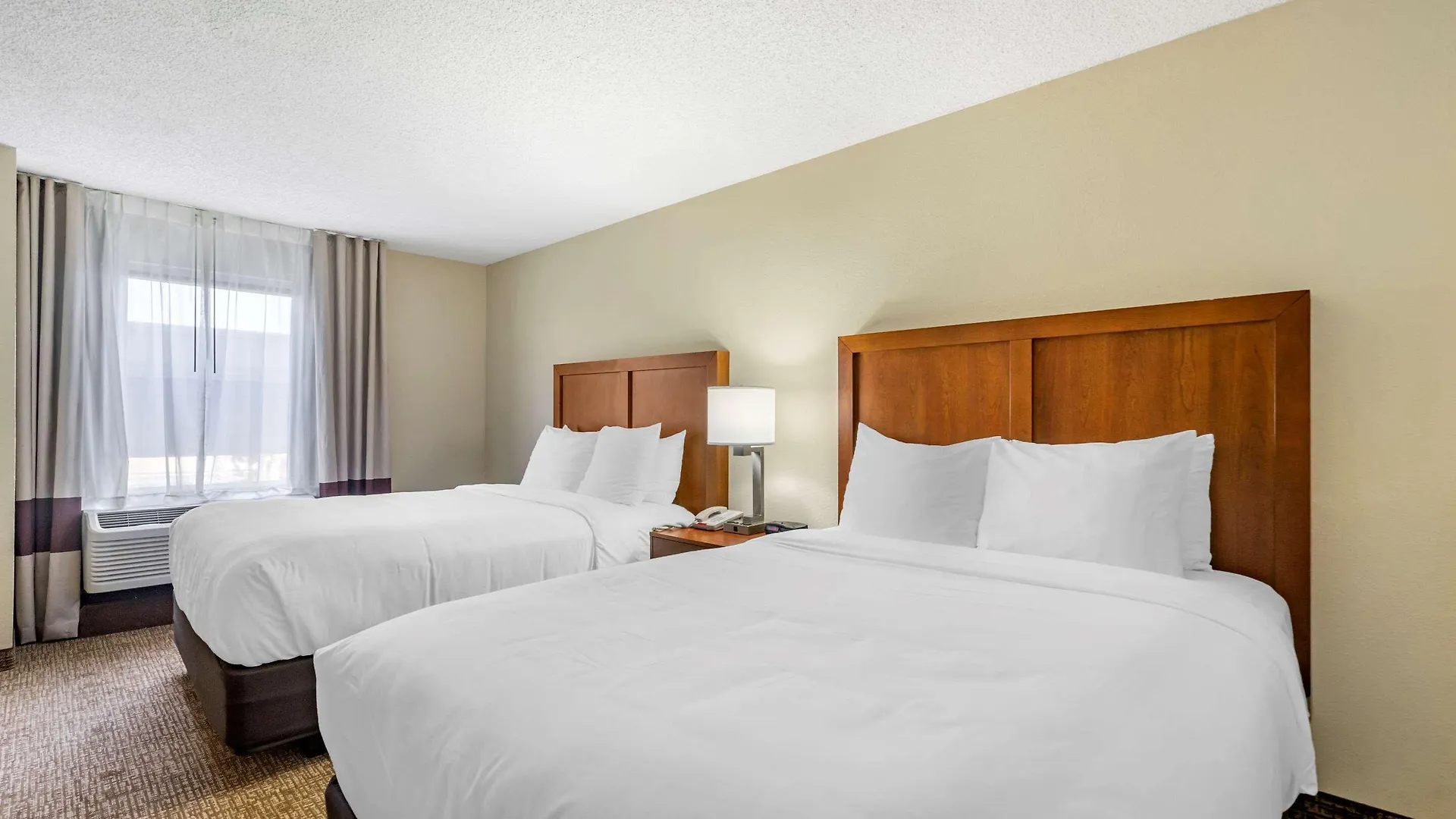 Comfort Inn & Suites St Pete - Clearwater International Airport