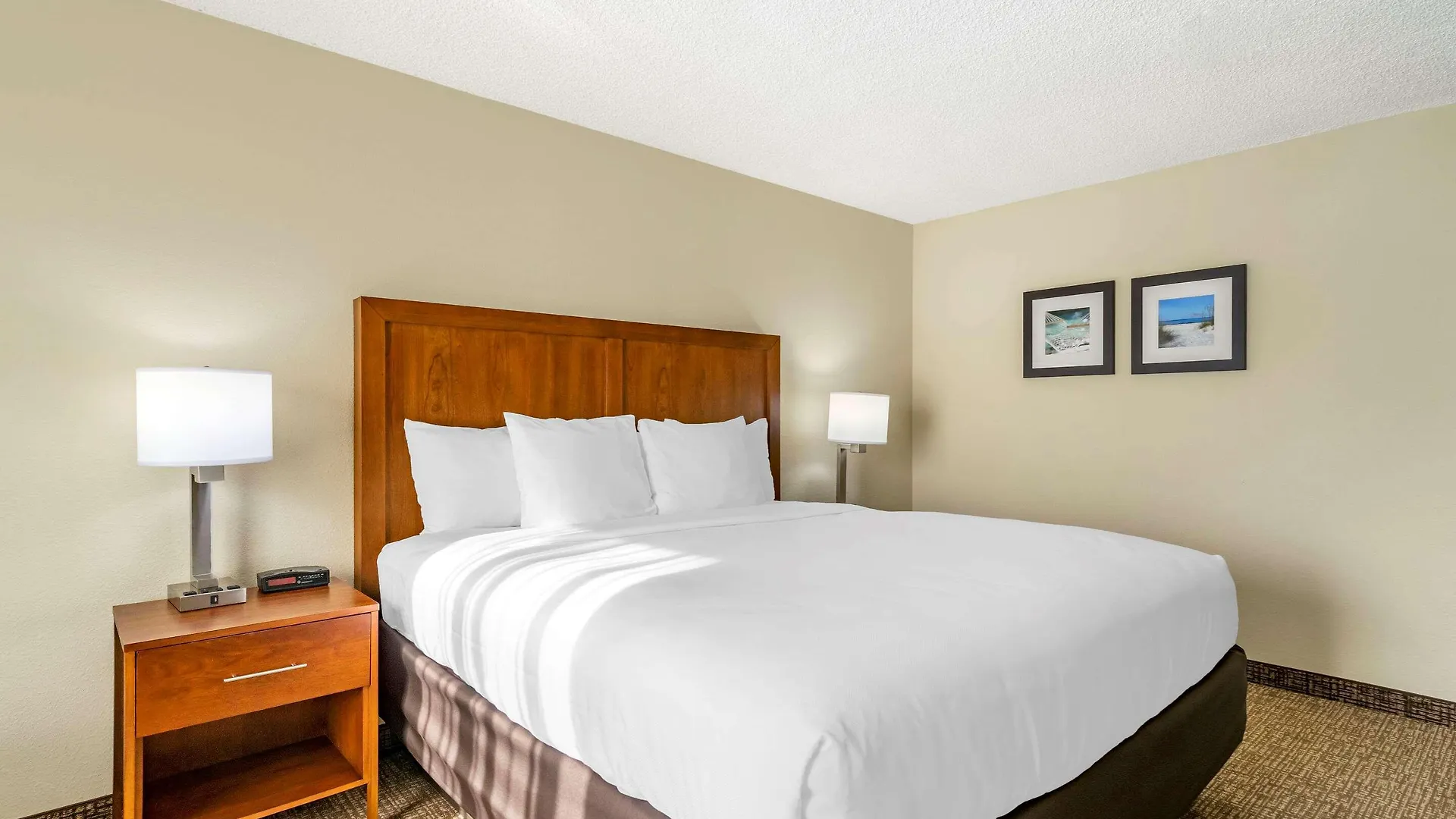 Comfort Inn & Suites St Pete - Clearwater International Airport