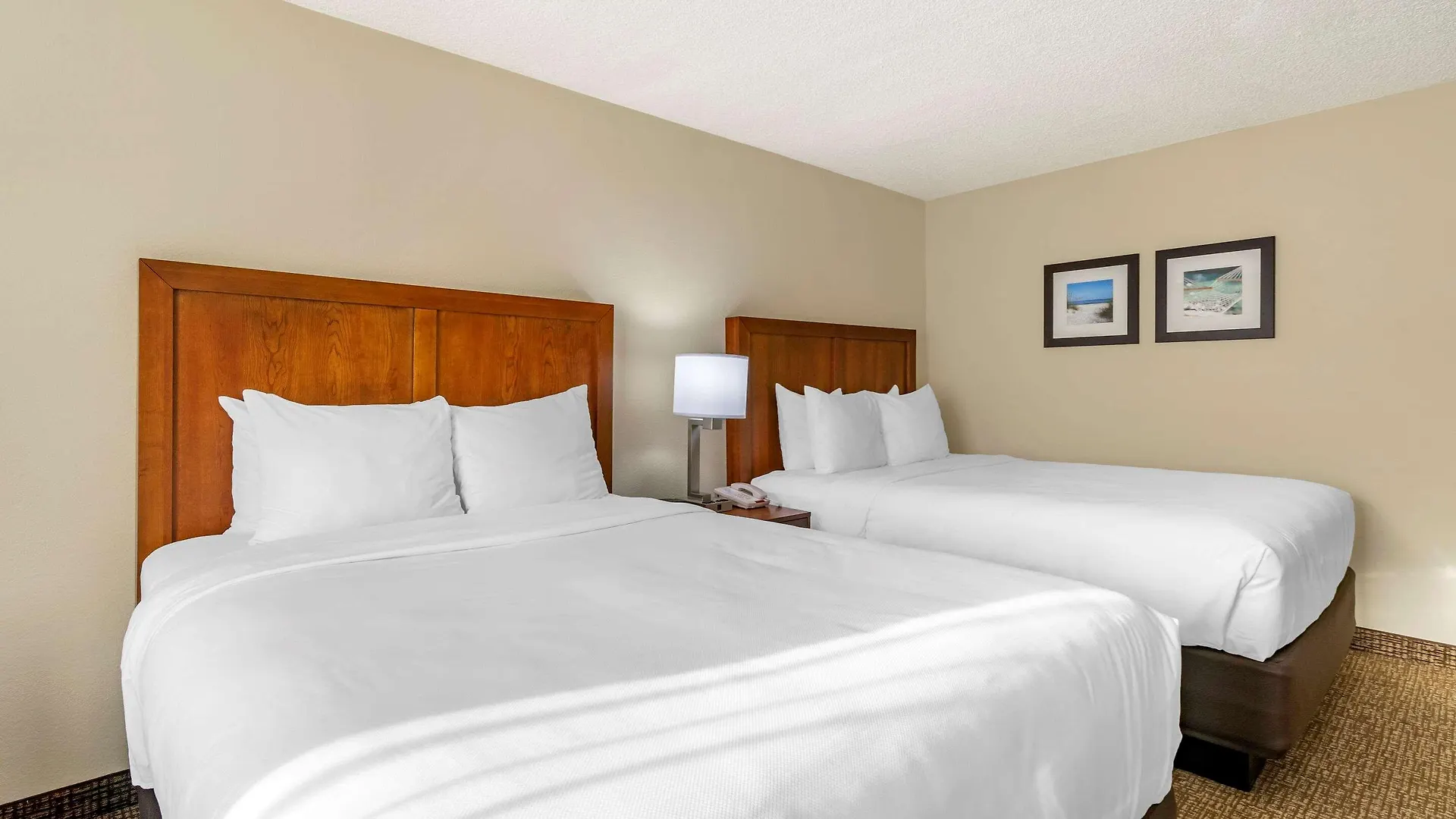 Hotel Comfort Inn & Suites St Pete - Clearwater International Airport