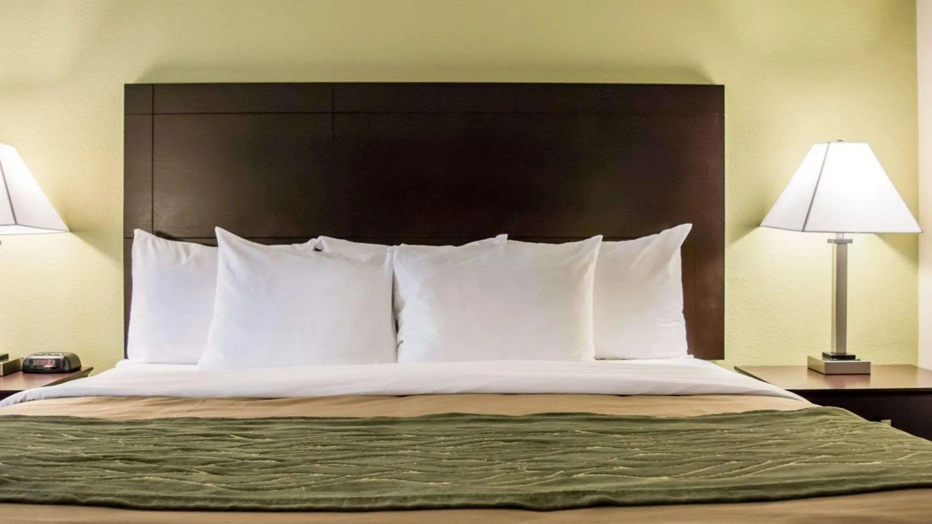 Hotel Comfort Inn & Suites St Pete - Clearwater International Airport